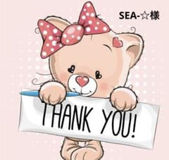 SEA-☆様 リクエスト 2点 まとめ商品のサムネイル