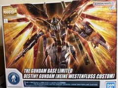 MG デスティニーガンダム(ハイネ専用機)のサムネイル