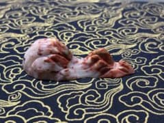 004水石 古玩 寿山石 鉱物 筆置 箸置 彫刻 茶道具 石 石彫 置物 文鎮