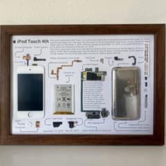 iPod タッチ 4世代　オリジナル標本アート ボックスフレーム(A3)限定品