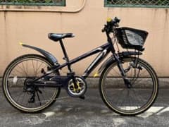【引取限定】ブリヂストン ジュニアスポーツ自転車　22インチのサムネイル