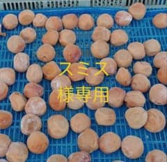 スミス様専用のサムネイル