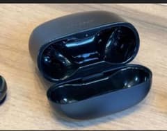 BOSE Bose QuietComfort Earbuds II 右耳故障のサムネイル