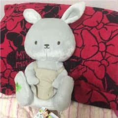 値下げ‼️早い者勝ち❤︎植物図鑑bigぬいぐるみ❤︎樹のサムネイル