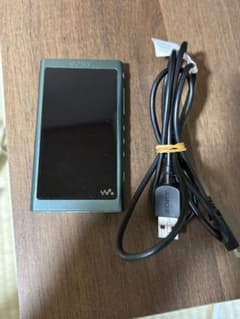 SONY WALKMAN NW-A55 ホライズングリーン　SDカード付きのサムネイル