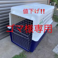ゴマ様専用‼️8月限定値下げ！輸送用ペットケージのサムネイル