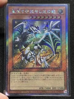 聖域を守護せし光の龍 エクストラシークレット エクシク WPP6 日版