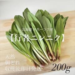 【北海道 オホーツク産】 天然！ 行者ニンニク(アイヌネギ) 200g+αのサムネイル