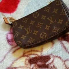 さおさん専用　LOUIS VUITTON　ポーチのサムネイル