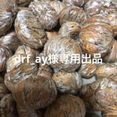 drf_ay様専用。熊本県産　栗のサムネイル