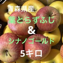青森県産【葉とらずふじ・シナノゴールド】限定2箱　ご自宅用になりますのサムネイル