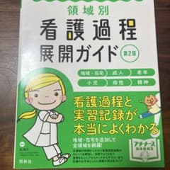 領域別看護過程展開ガイド : 地域・在宅 成人 老年 小児 母性 精神のサムネイル