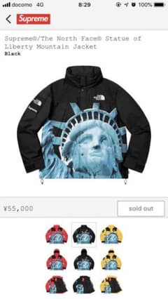 supreme the north faceのサムネイル
