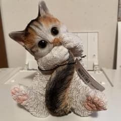 専用です？2匹セット価格のサムネイル