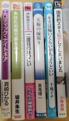Iセット 商業BL小説 6冊セット まとめ売り - メルカリ