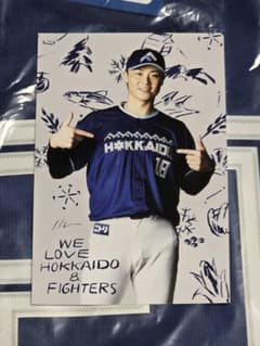山﨑福也 WE LOVE HOKKAIDO ポストカードのサムネイル