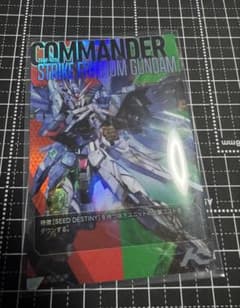 TEST-002ストライクフリーダムガンダム ロケテスト アーセナルコマンダーのサムネイル