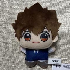 家庭教師ヒットマンREBORN 沢田綱吉 ちびぐるみ タグ付き 匿名配送