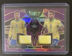 R*K様 マルティネッリ　マガリャンイス　ブラジル　メモラ　panini selのサムネイル