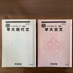 河合塾 2024 夏期講習 早大現代文 早大古文 高3・卒 - メルカリ