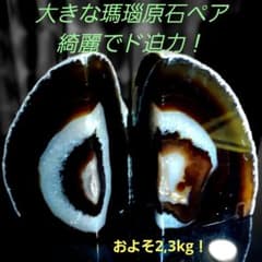 大特価！2キロ超えの大きい メノー瑪瑙 原石ペア2面磨き572 大特価！2キロ超えの大きい メノー瑪瑙 原石ペア2面磨き572 - メルカリ