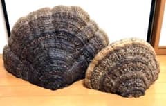 天然 縁起の良い 親子猿のこしかけ m11113722991_1.jpg?1541958079