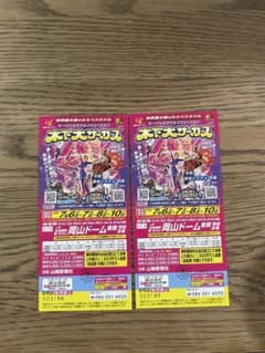 木下大サーカス 岡山公演 自由席1500円交換チケット　2枚セット - 2