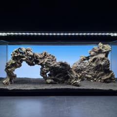 MJW-7236 「特大」ジンジャーウッド 90cm水槽用 天然流木3本セット