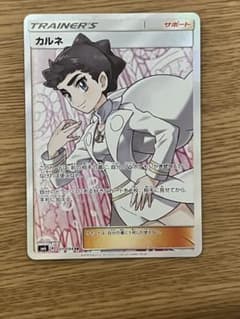 カルネsrのサムネイル