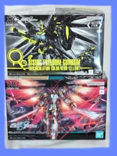 HG ライジングフリーダム リサカラー ブラックナイツスコードカルラ