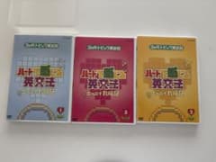 3か月トピック英会話 ハートで感じる英文法 DVD 1-3巻セット 大西泰斗