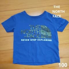 ノースフェイス　100のサムネイル