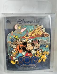 香港ディズニーランド 2019 ピンバッジ 限定500個