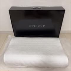 【美品】【殆ど未使用】ヒツジのいらない枕 至極 テンセル枕カバー付 丸洗いOKのサムネイル