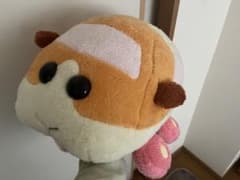 PUI PUI 몰카 봉제인형 감자