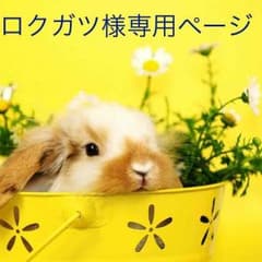 ロクガツ様専用ページのサムネイル