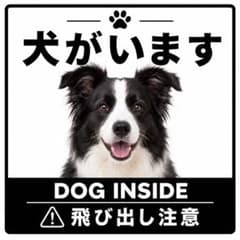 カーステッカー ボーダーコリー 犬 正方形 飛び出し注意 犬がいます 白黒のサムネイル