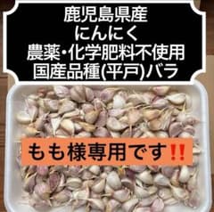 ももです‼️鹿児島県産 農薬不使用 2026年産 平戸(バラ)5kg もも様専用です‼️鹿児島県産 農薬不使用 2026年産 平戸(バラ)10kg