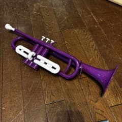 タイガー プラスチック トランペット 紫 Tiger pTrumpet タイガー プラスチック トランペット 紫 Tiger pTrumpet - メルカリ