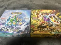 サイバージャッジ　ワイルドフォースのサムネイル
