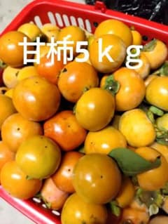 無農薬甘柿のサムネイル