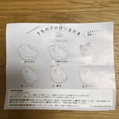 うちの子のけだまだま　柴犬のサムネイル