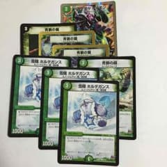 正々堂々ホルモン 青銅の鎧 雪精ホルデガンスのサムネイル