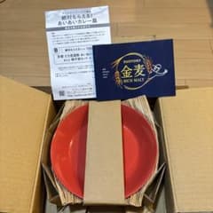 【未使用】 京都たち吉 謹製 あいあいカレー皿 2枚セット　赤のサムネイル