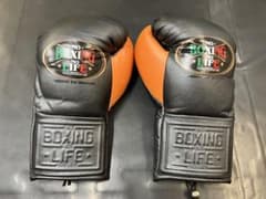 NO BOXING NO LIFE グローブ8オンスのサムネイル