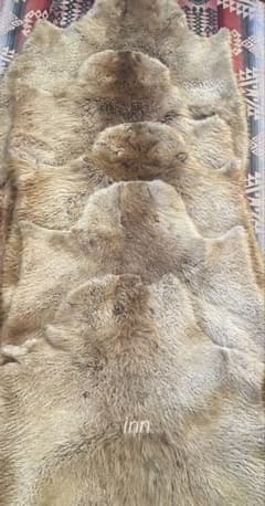 SALE✨カナダ ビーバー 毛皮 敷物 リアルファー ×2 ヴィンテージ品