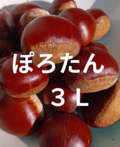 ぽろたん  ３Lサイズのサムネイル