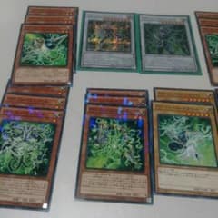 サイフレームセットのサムネイル