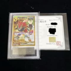 ARS10】Nのゾロアークex UR 131/100 エラー版 鑑定書付 - メルカリ