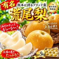 ブランド梨　熊本県産 荒尾梨 5kg 産地直送のサムネイル